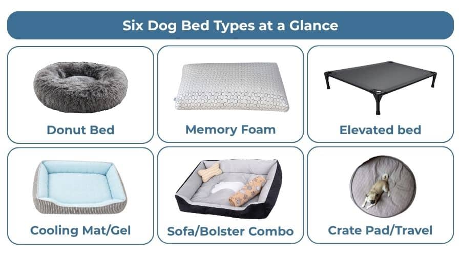 dog bed types